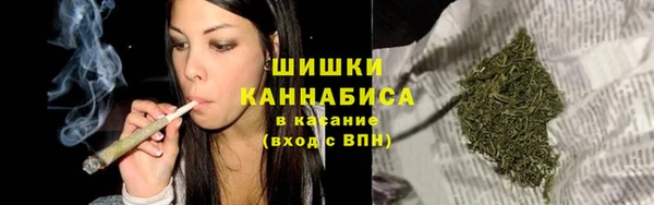 индика Зерноград