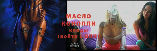 индика Зерноград