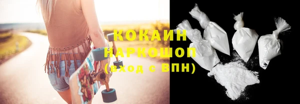 индика Зерноград