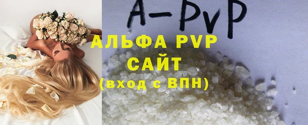 индика Зерноград