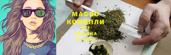 индика Зерноград