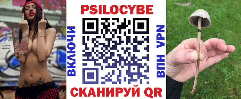 Псилоцибиновые грибы мицелий  Каменка 