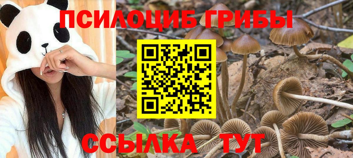 Бутират Каменка