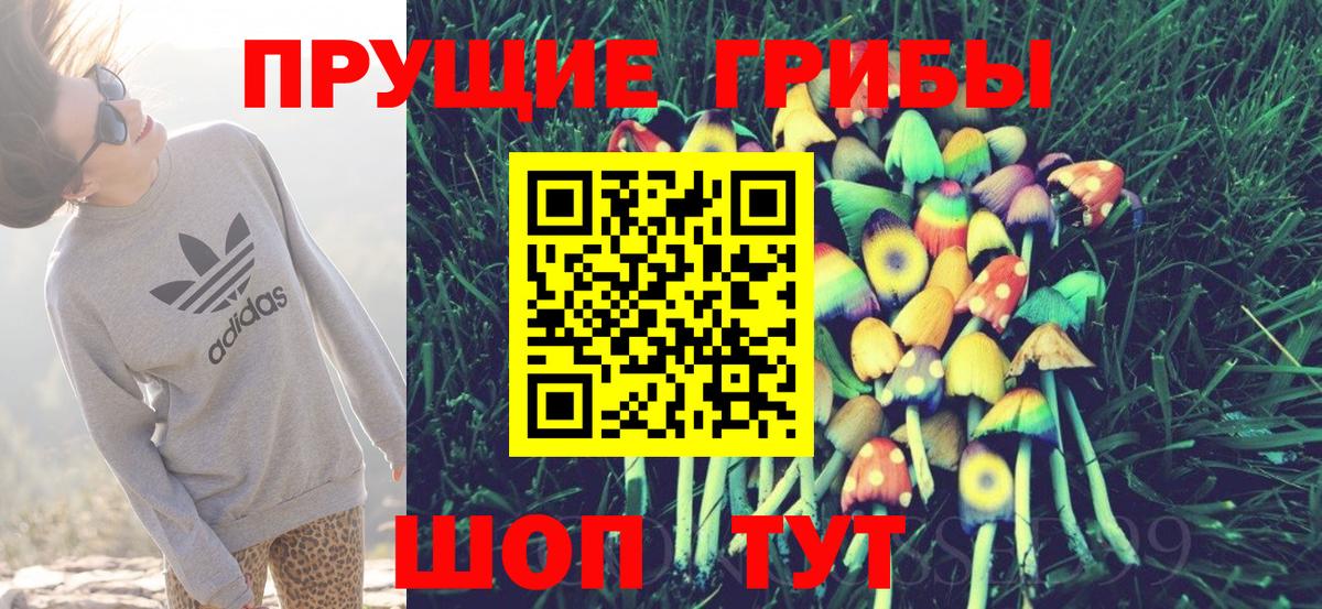 Каменка  Галлюциногенные грибы Magic Shrooms  Вход с VPN  Галлюциногенные грибы Magic Shrooms 
